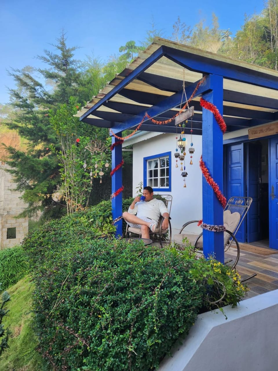 Day, Garden, Garden view