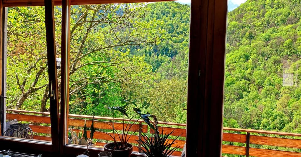 Natural landscape, View (from property/room), Balcony/Terrace, Mountain view