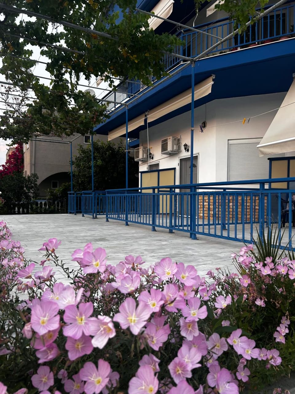 House Stamatis Apartment in Halkidiki