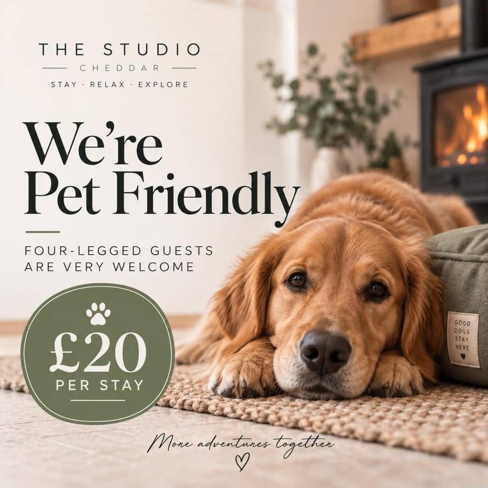 Pets, pet friendly