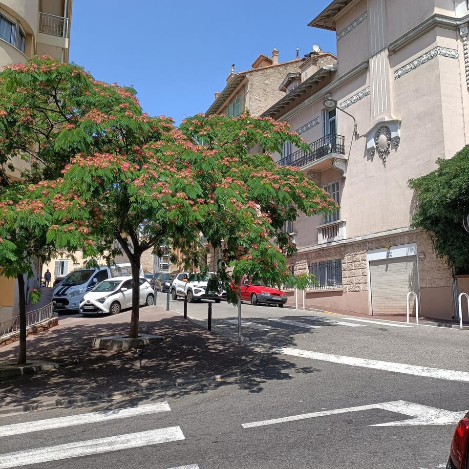Neighbourhood, Street view, Location