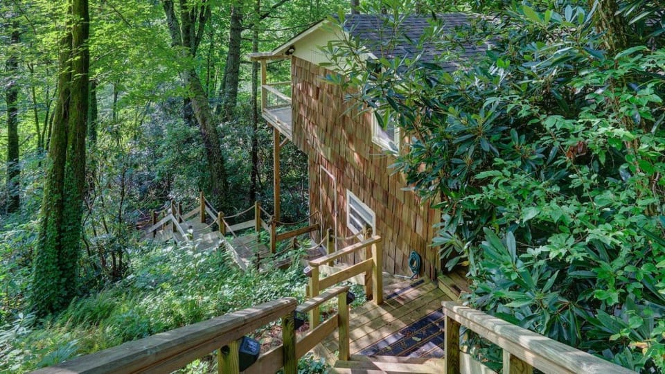 Mountain Laurel Tree House House in Highlands