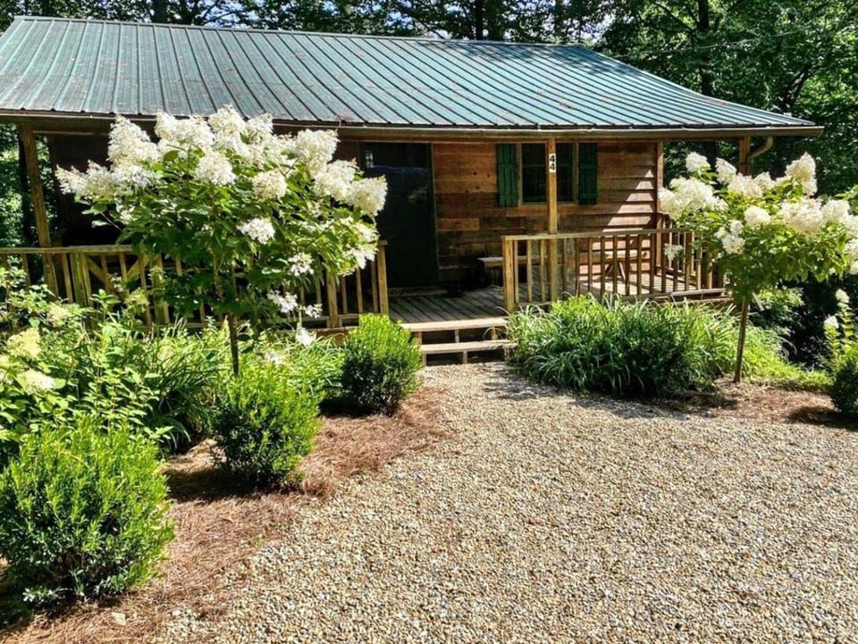 The Spotted Owl House in Highlands