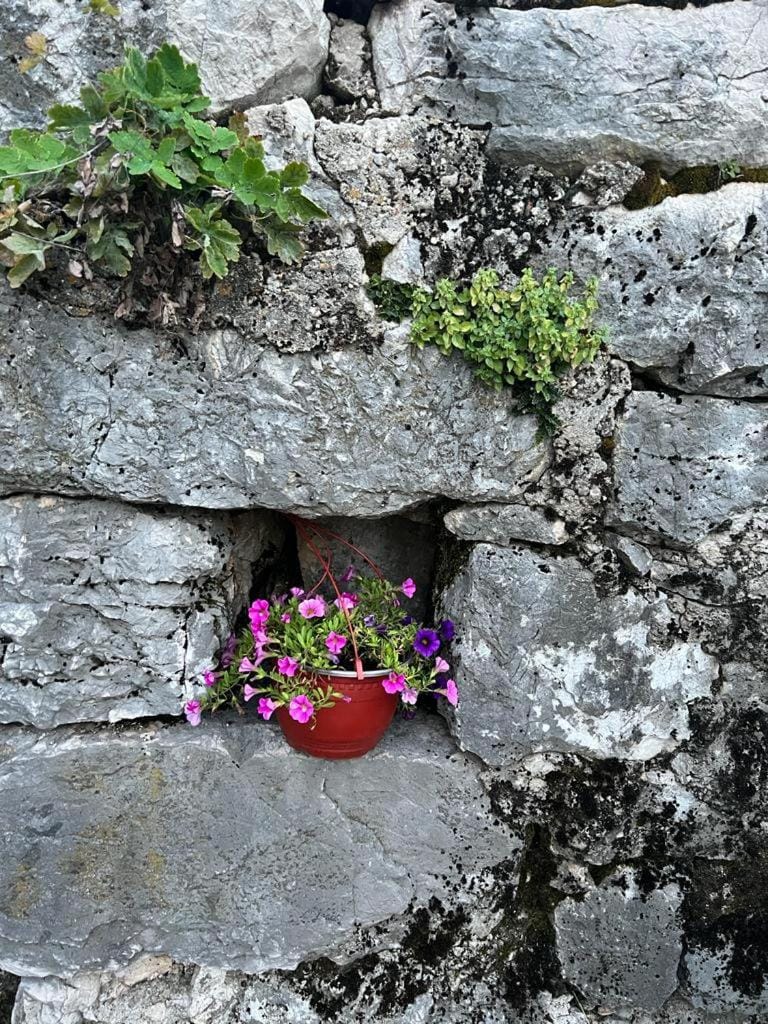 Back to Basics Apartment in Montenegro