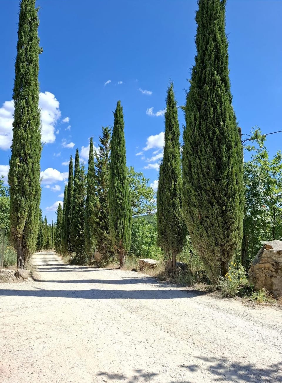 Natural landscape