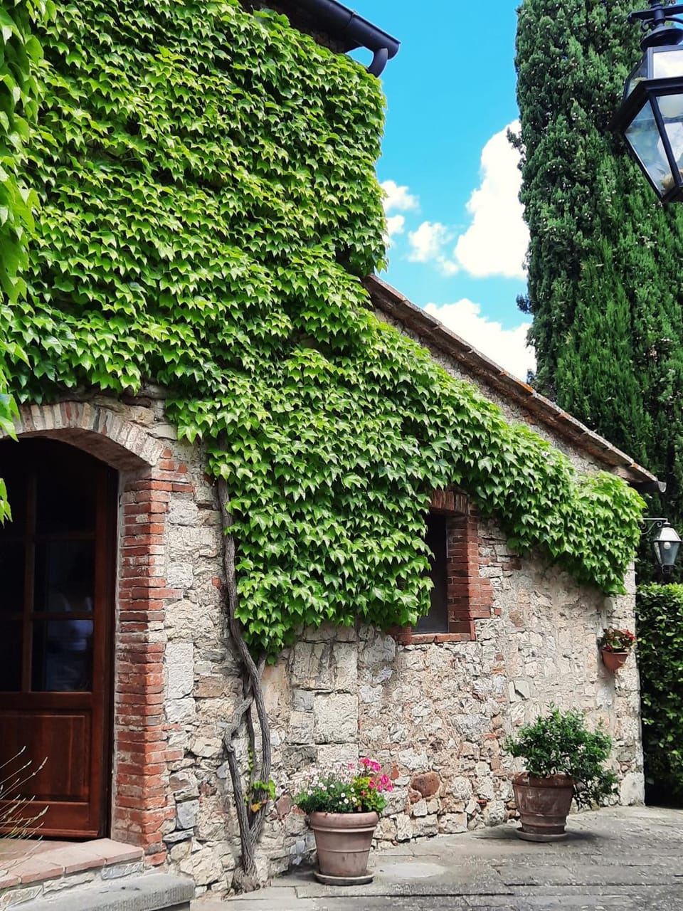 Borgo Livernano Farm Stay in Radda in Chianti