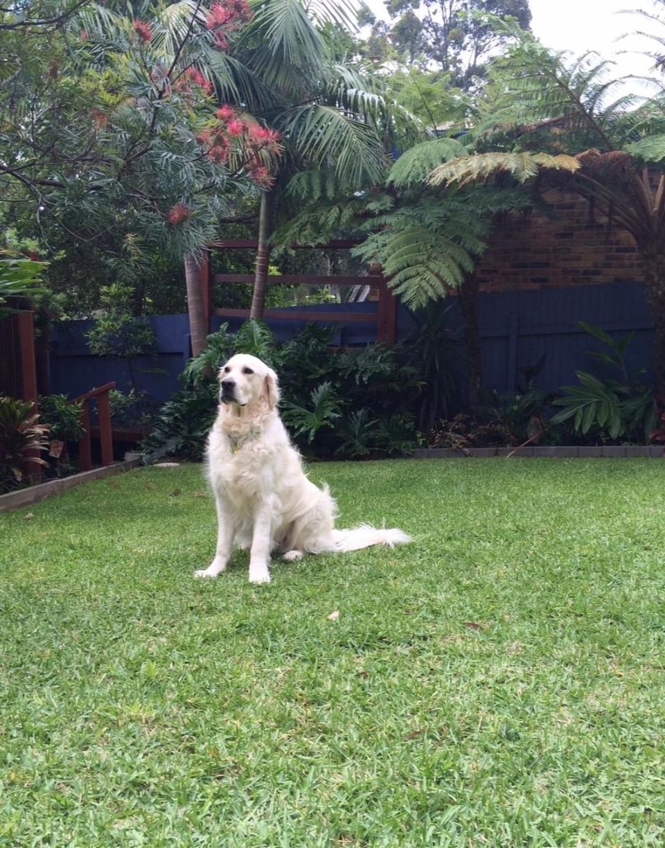 LILLI PILLI SUBLIME - Family & Dog-Friendly Beach House, Batemans Bay House in Malua Bay