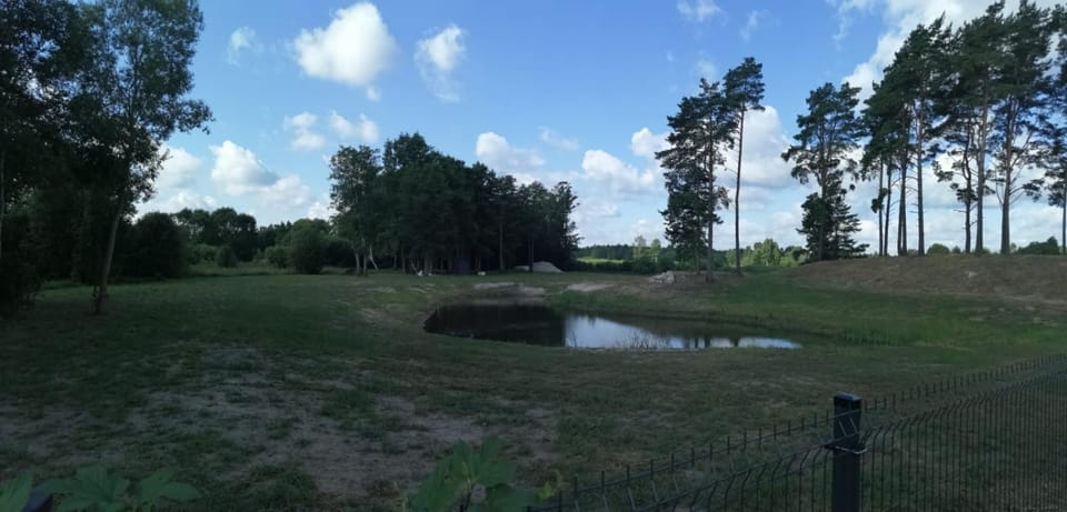 Spring, Day, Natural landscape