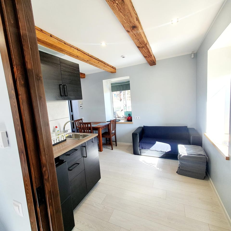 Kitchen or kitchenette, Living room, Dining area