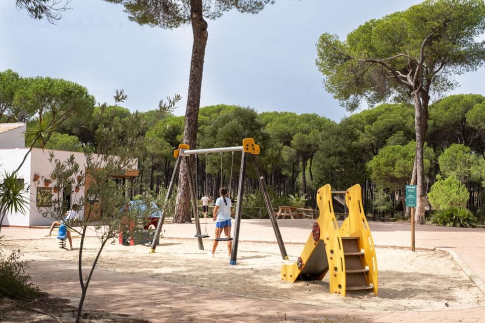 Activities, Children play ground