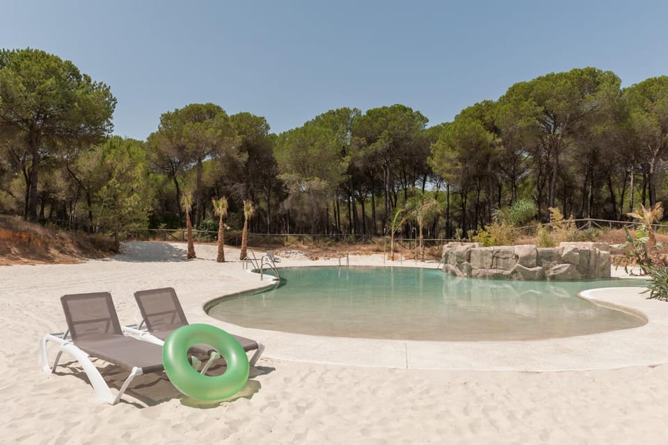 Day, Swimming pool, sunbed