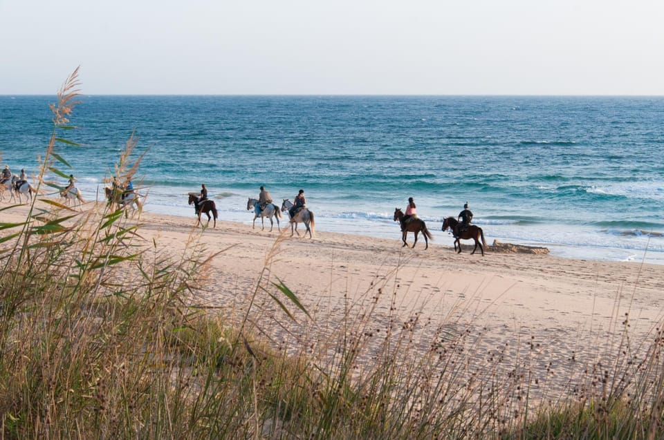 Day, Activities, Horse-riding, Beach