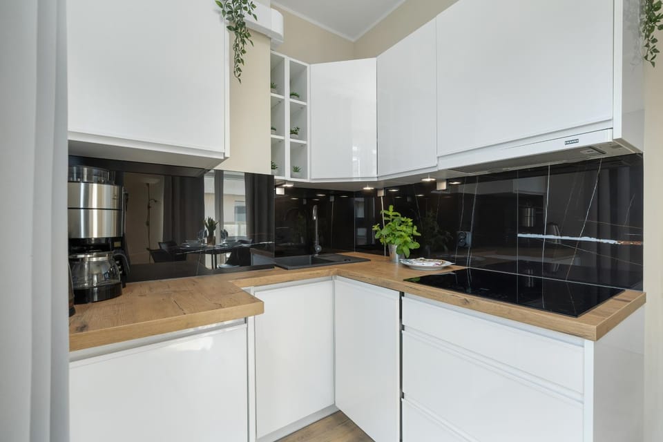 Kitchen or kitchenette, dishwasher, stove