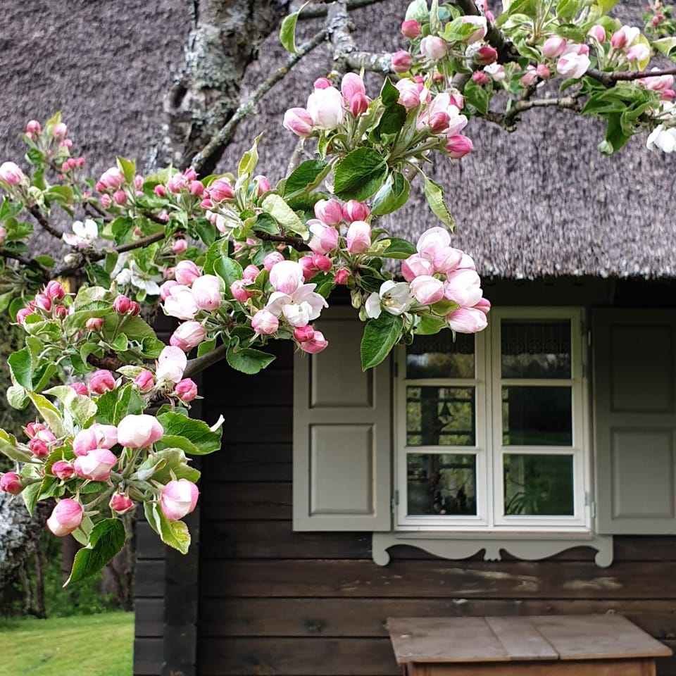 Facade/entrance, Garden view