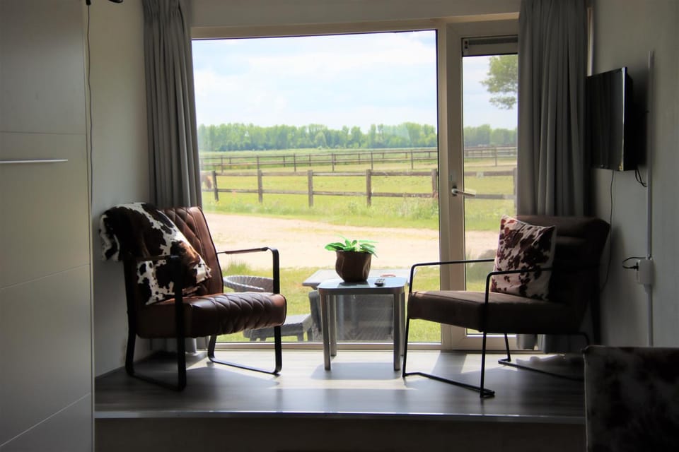 View (from property/room), Seating area