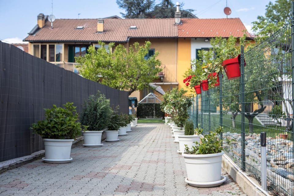 Patio, Facade/entrance