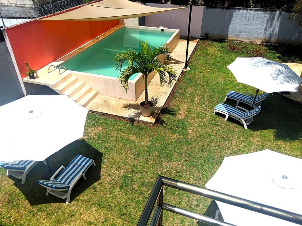Spring, Garden, Pool view, Swimming pool, Swimming pool, sunbed