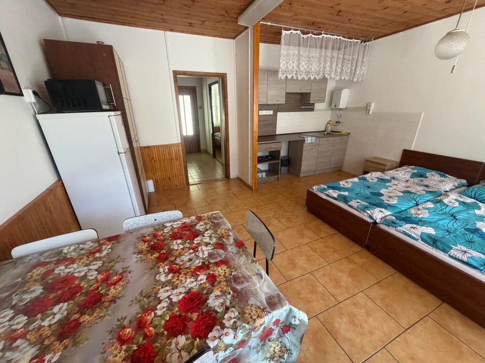 Penzion Přehrada** Apartment hotel in South Moravian Region