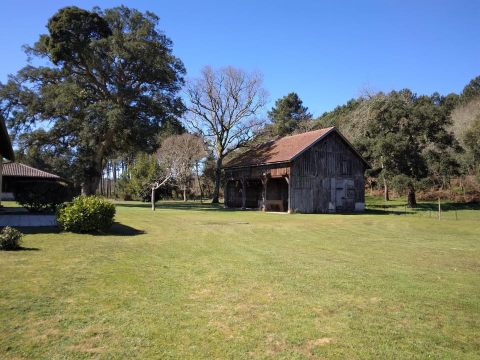 Garden, Garden