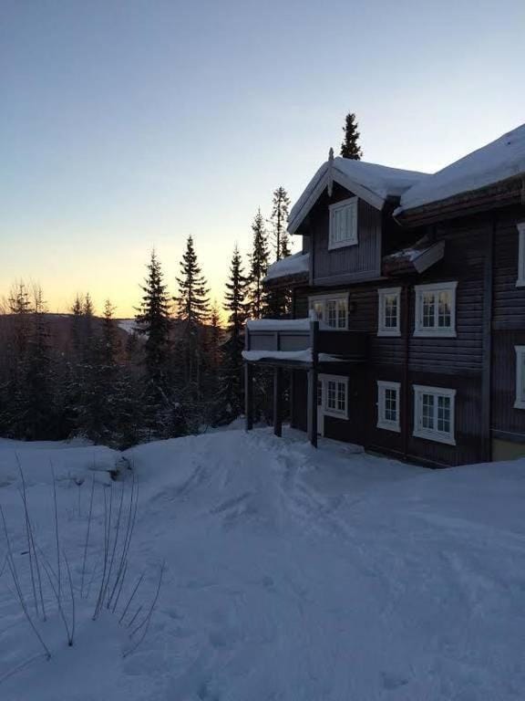 Nice apartment in Trysil ski in-out, sauna and view Apartment in Innlandet