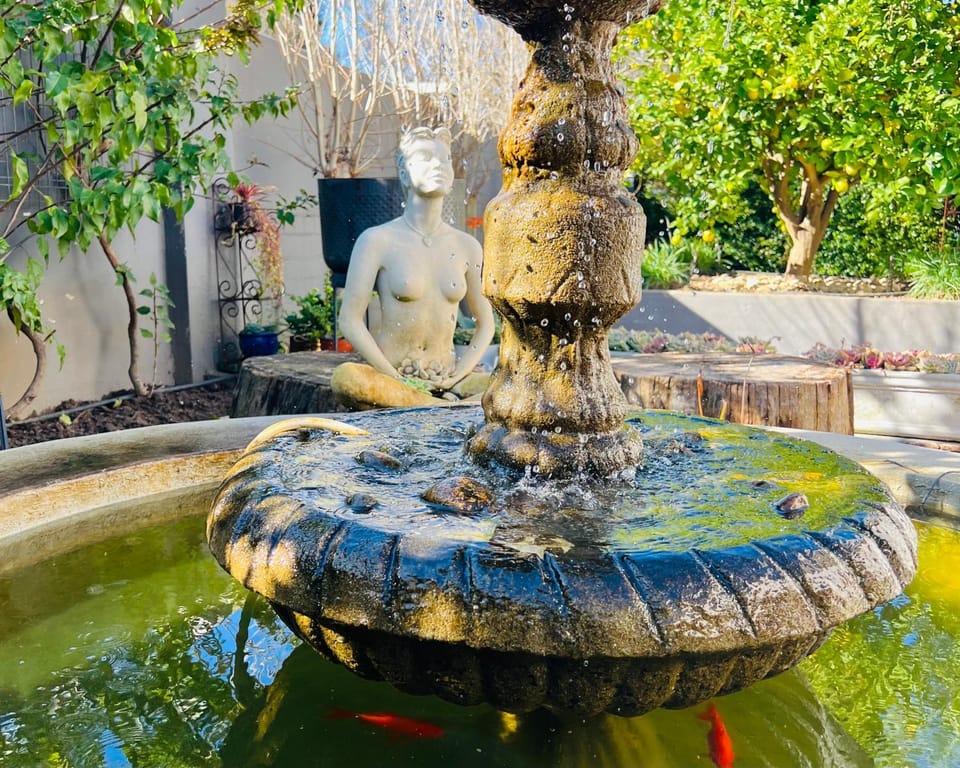 Garden, Garden view