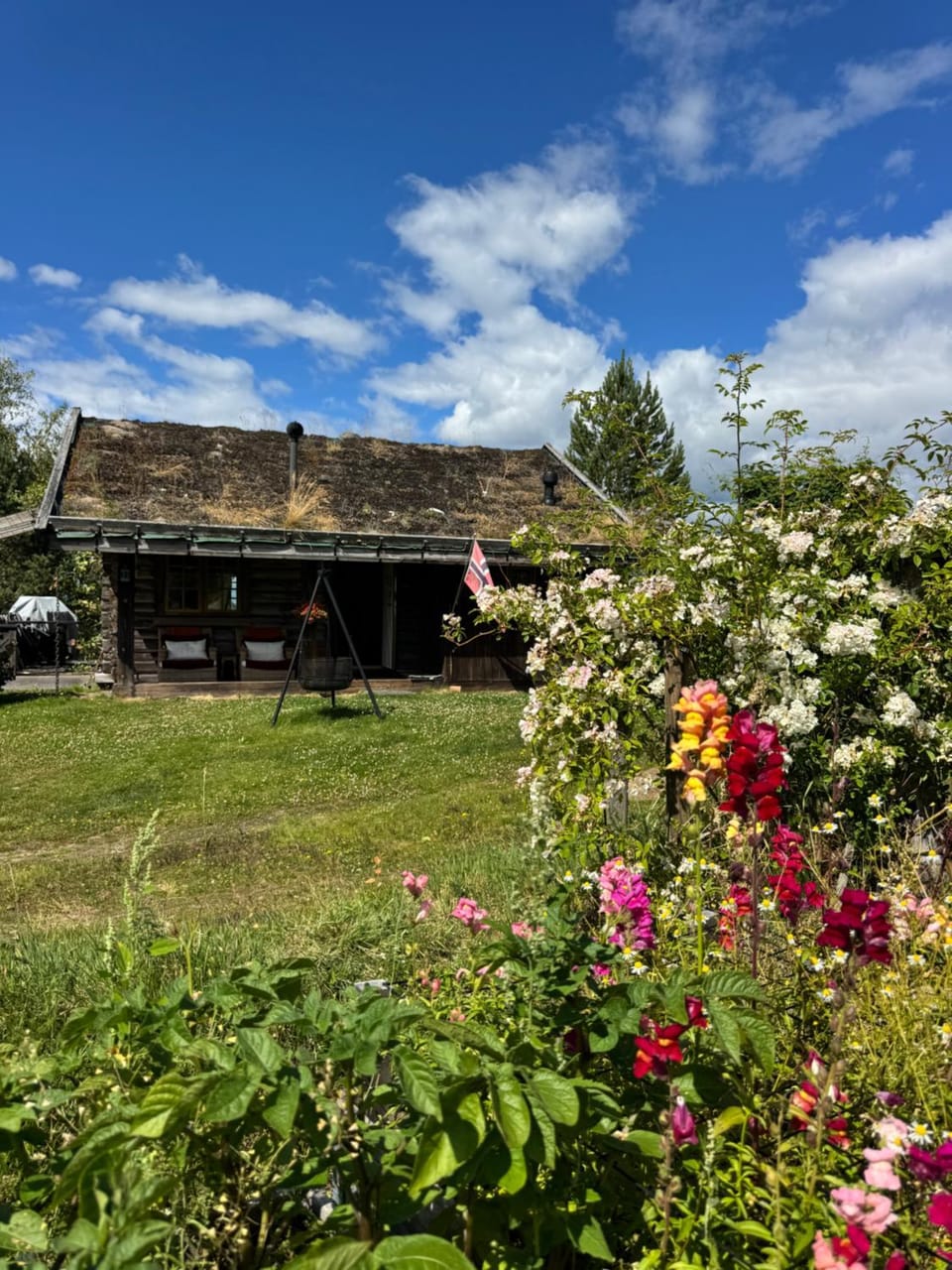 Norwegian Idyll - Authentic stay in a Log Cabin Cabin in Viken, Norway