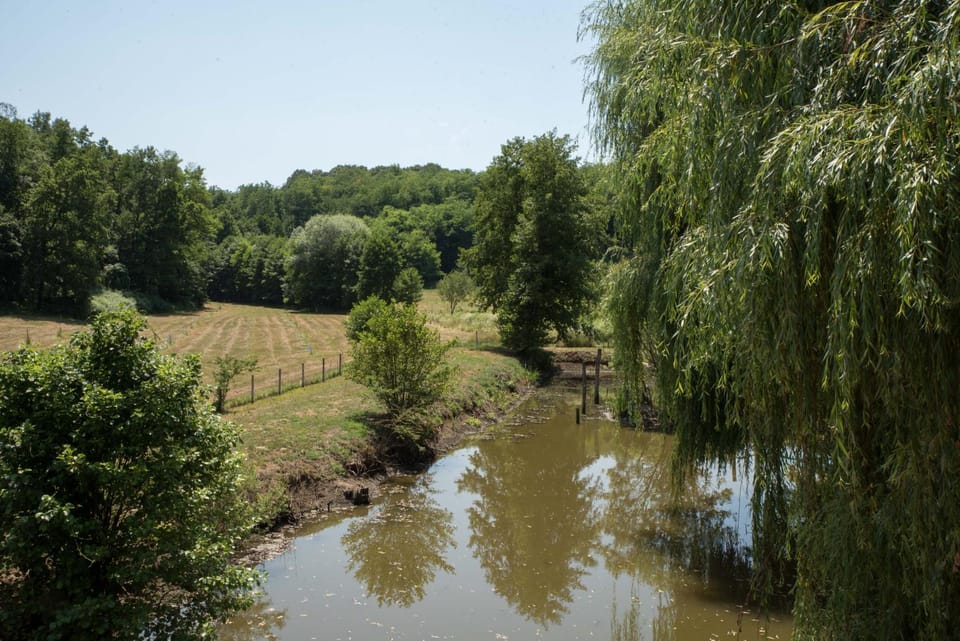 Natural landscape