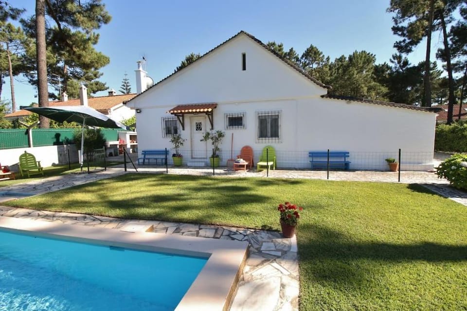 Garden, Garden view, Pool view, Swimming pool, sunbed