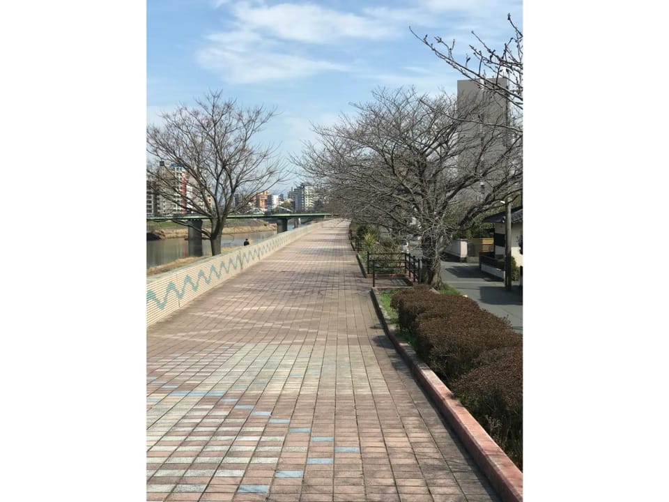 Family House - Vacation STAY 53006v Bed and Breakfast in Japan