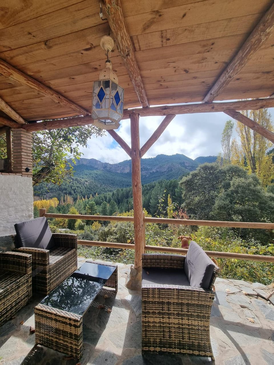 Garden, View (from property/room), Mountain view