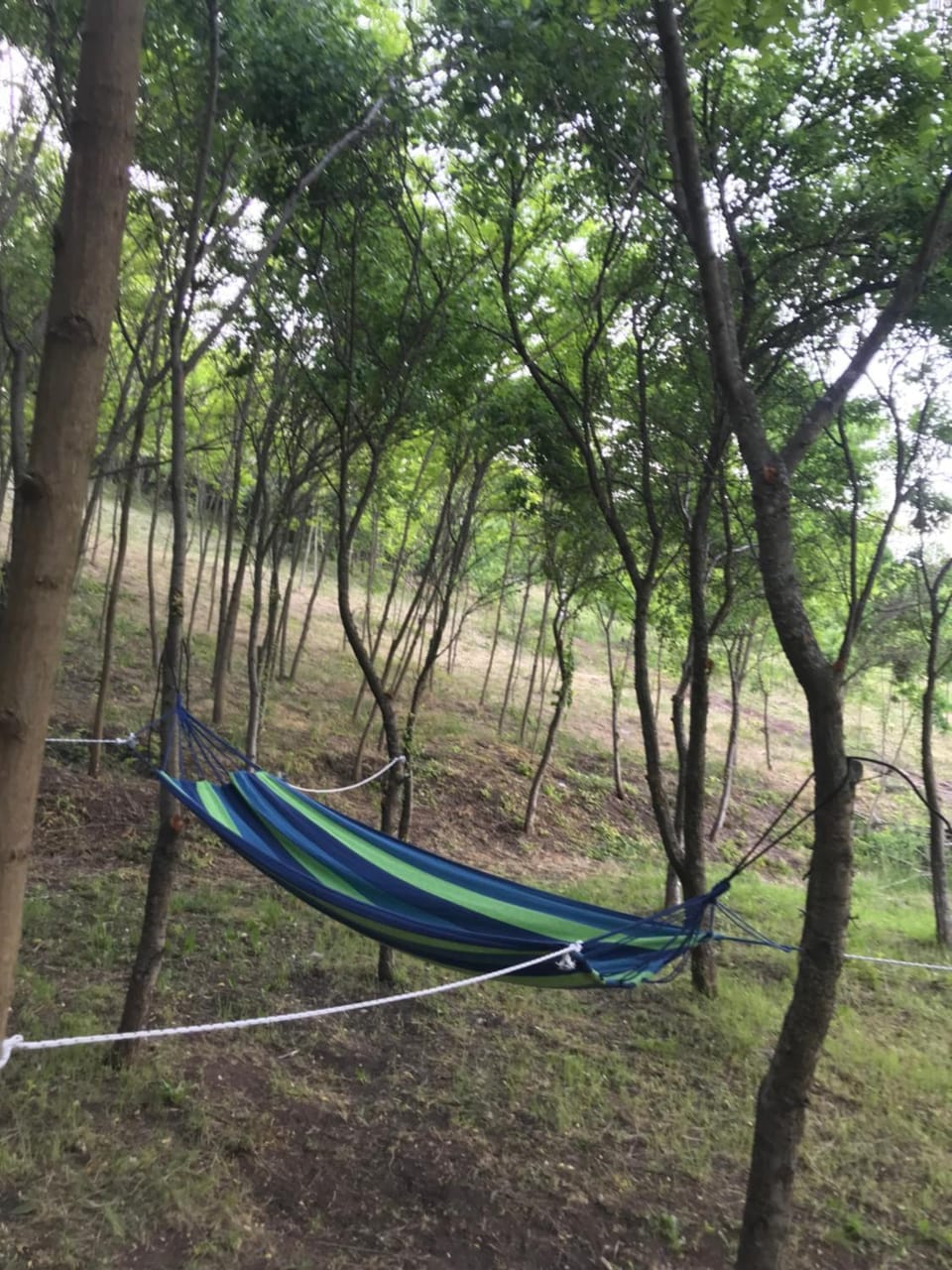 Velin raj House in Serbia