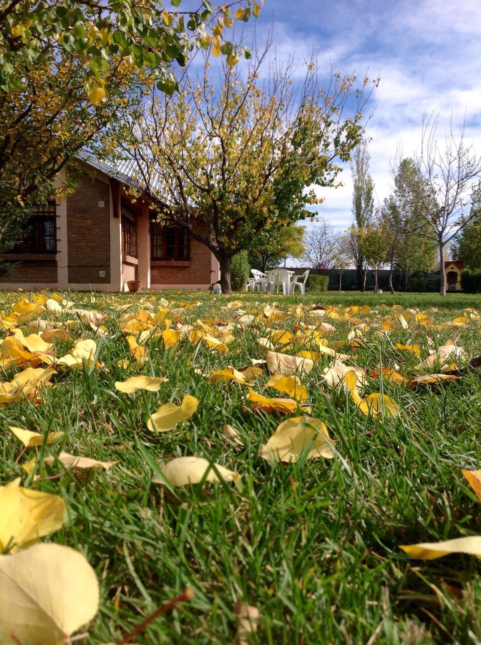 Garden, Autumn