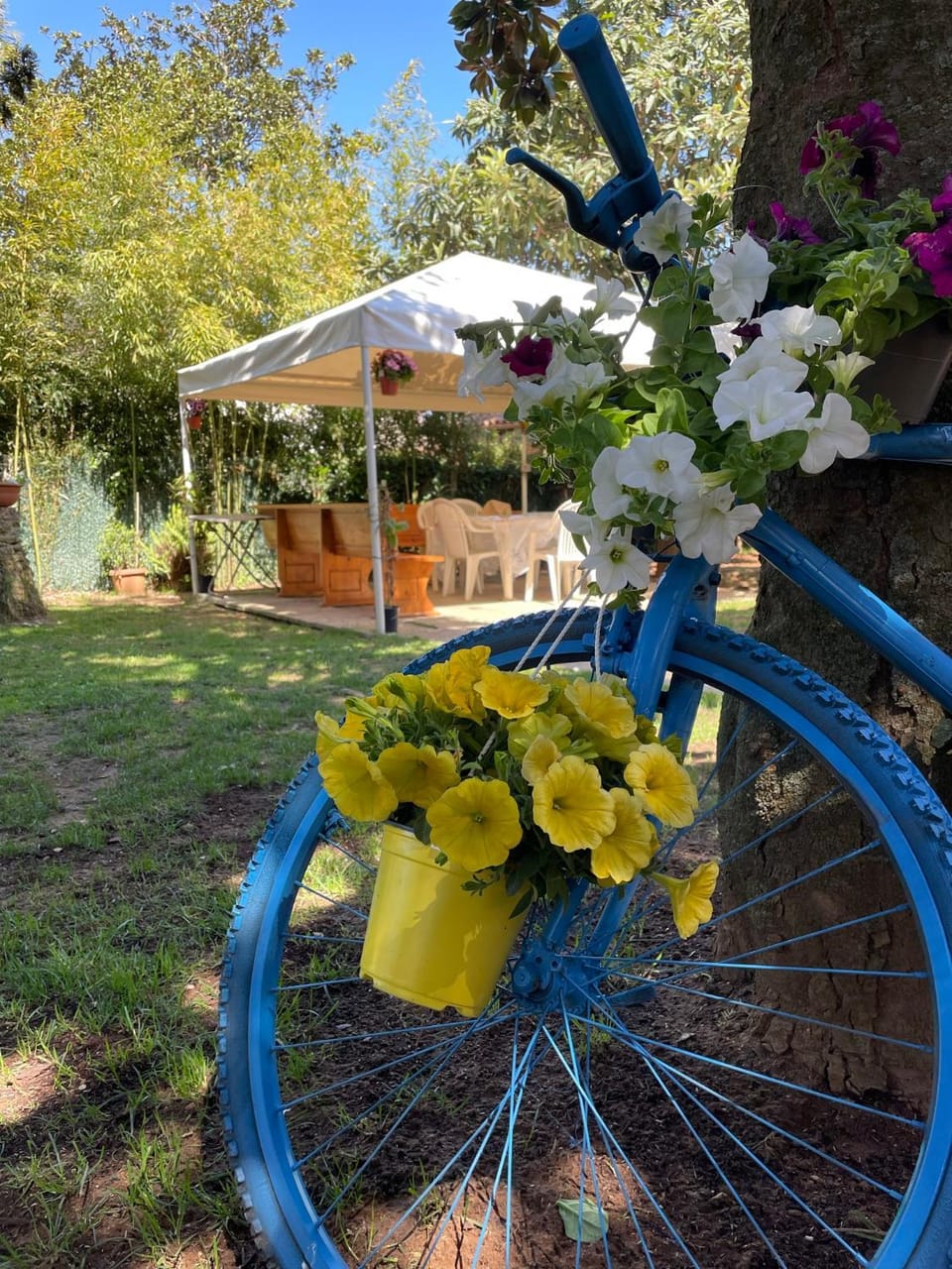 Patio, Garden