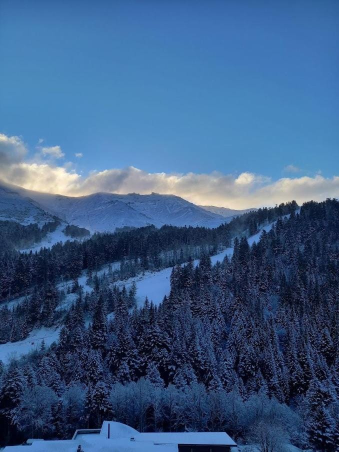 Mountain view