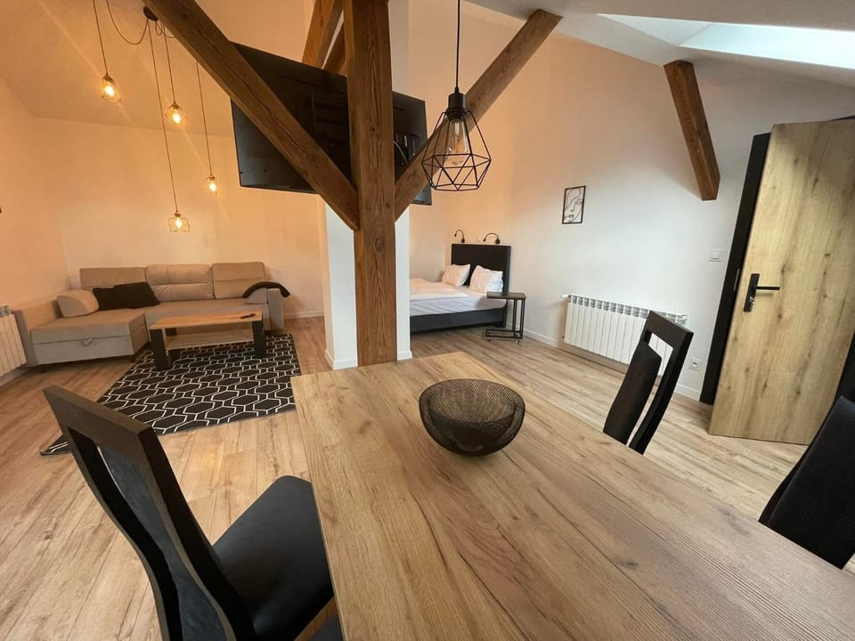 Apartamenty Zwierzyniec Roztocze Apartment in Lviv Oblast