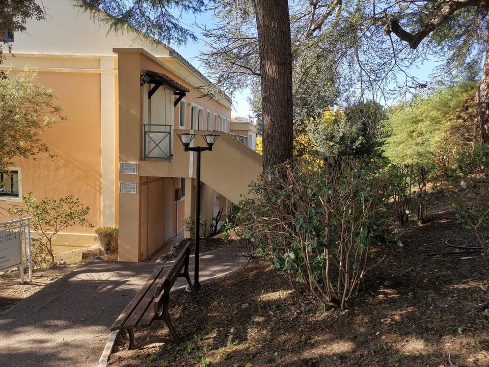 Property building, Garden view