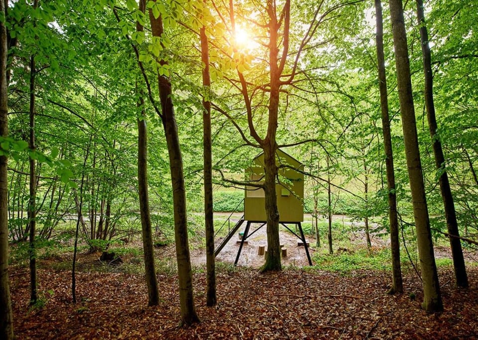 Posed Vážka by TwoFingers glamping Campground/ 
RV Resort in Lower Silesian Voivodeship