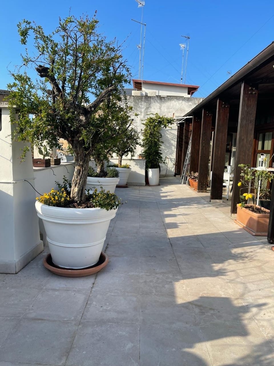 Patio, Balcony/Terrace