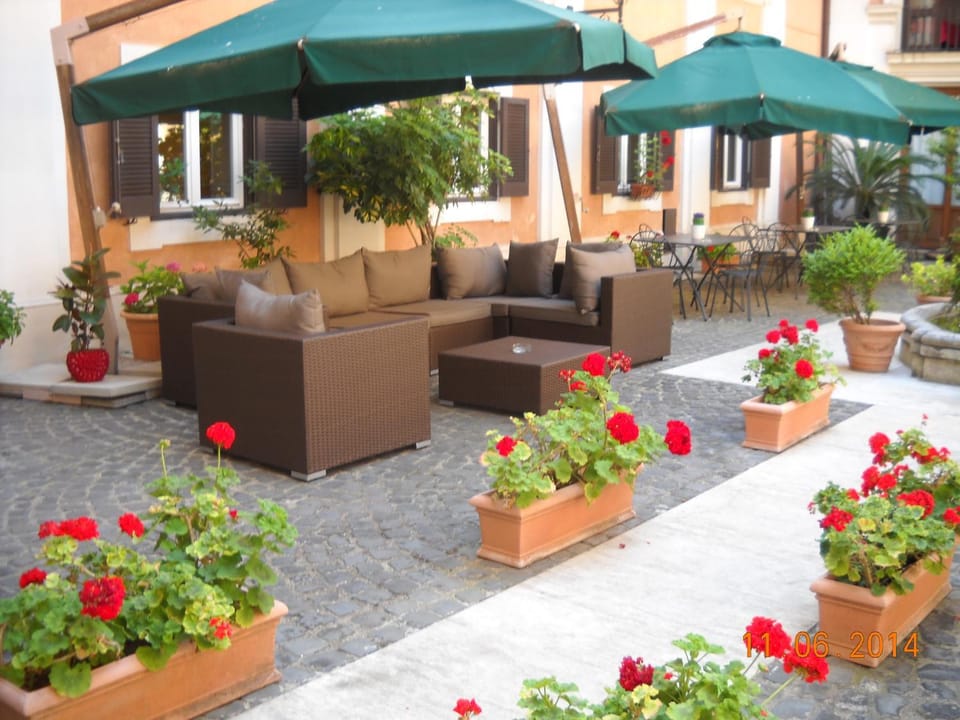 Patio, Day, Garden