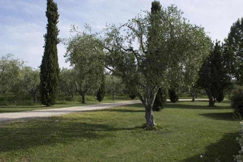 Agriturismo Scuderie della Contea Apartment in Lazio