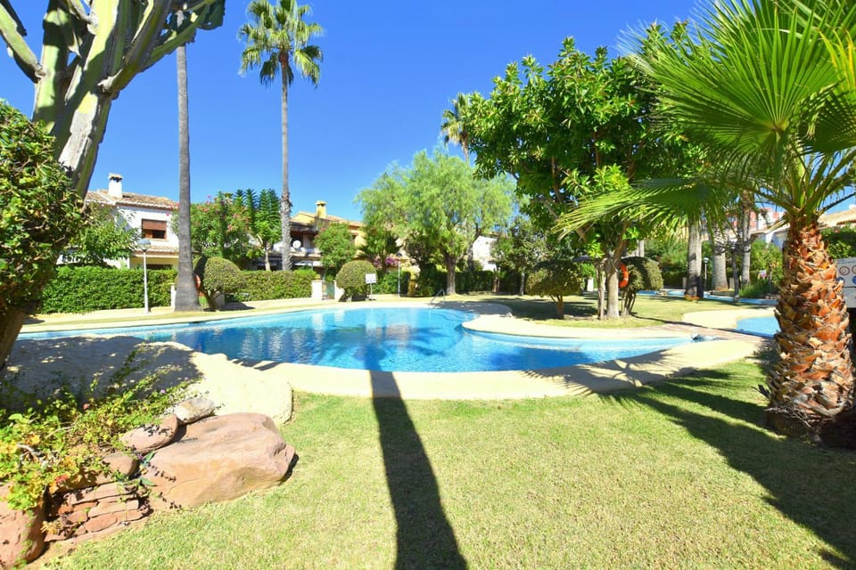 Patio, Garden, Garden view