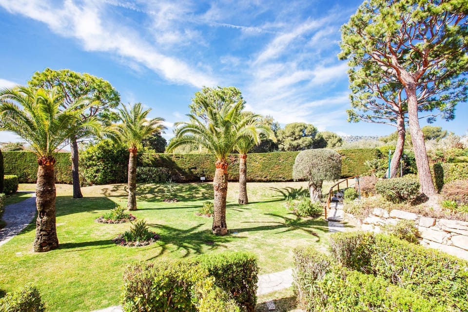Natural landscape, Garden, View (from property/room), Garden view