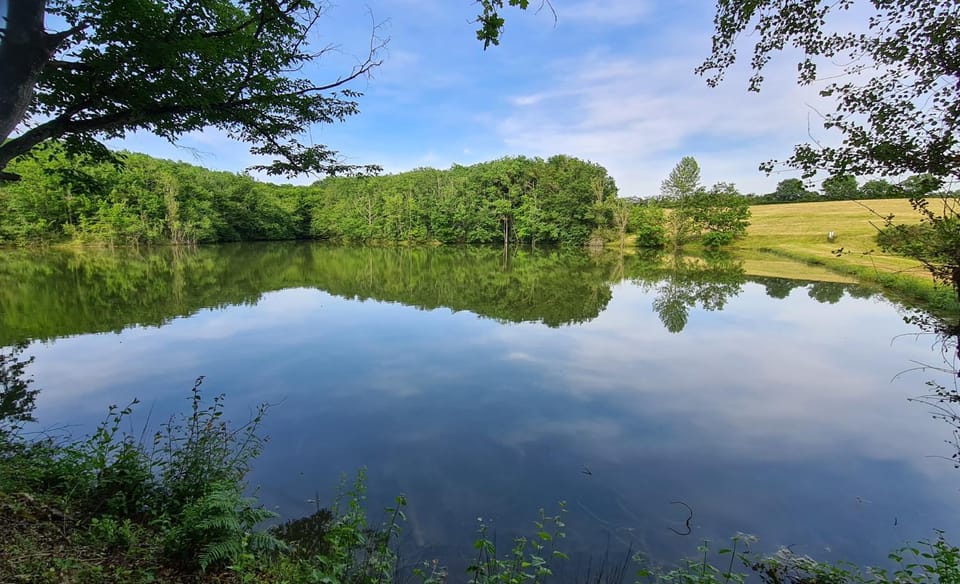 Spring, Natural landscape, Fishing, Hiking, Lake view