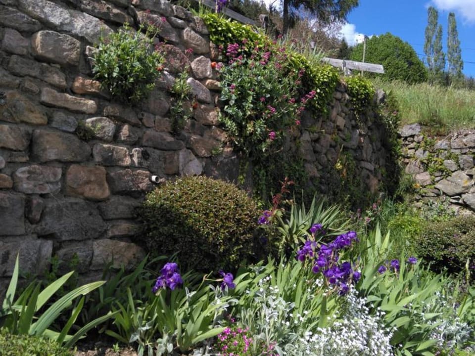 Gîte Authentique avec Wifi et Cheminée à Véranne - FR-1-496-256 House in Auvergne-Rhône-Alpes