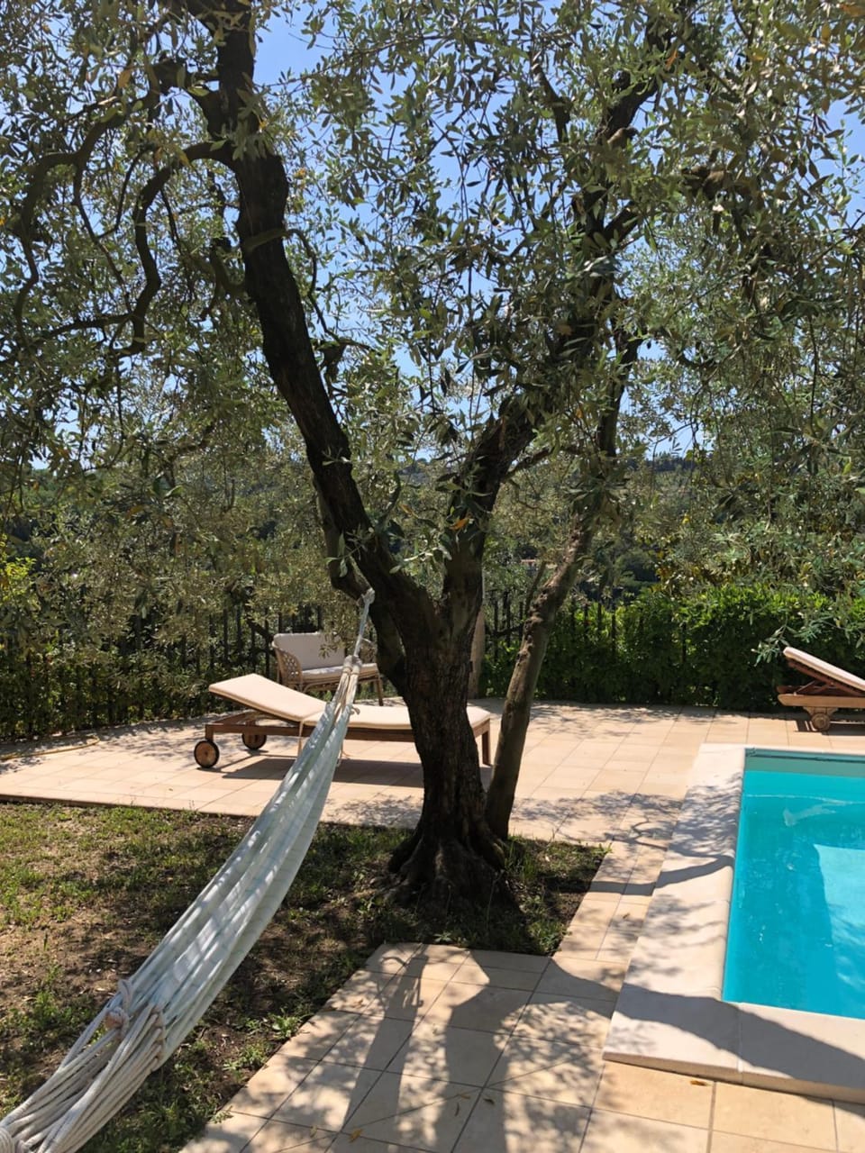 Garden, Swimming pool