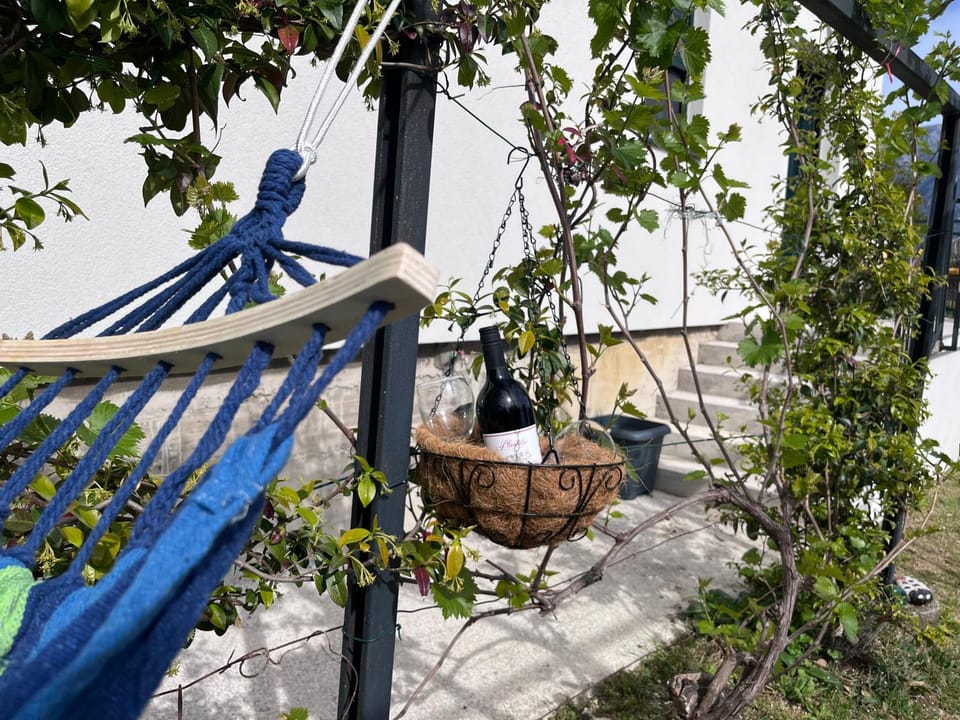 Holiday home “Olive” Apartment in Kotor Municipality