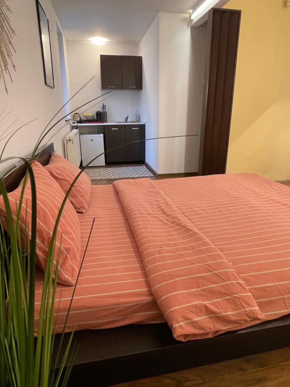 Savoya5 Old CityCenter Selfcheckin WorkspaceStudio Apartment in Timisoara