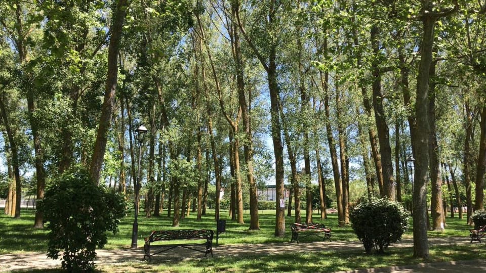 Natural landscape