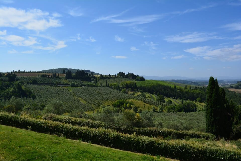Natural landscape