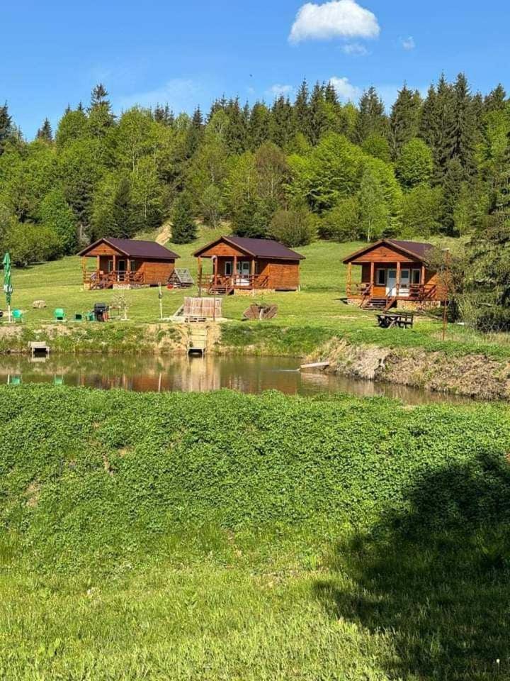 Cabane Areama Neagra Nature lodge in Romania